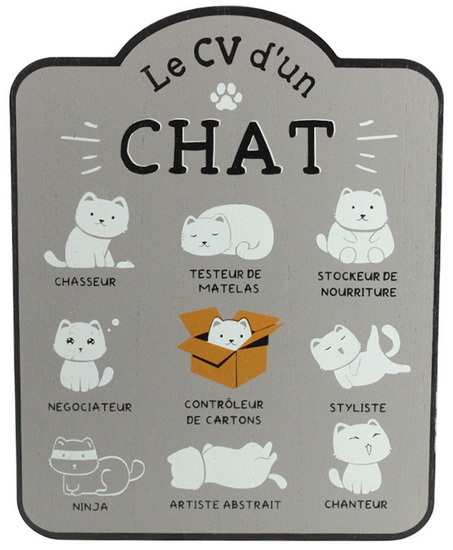 Plaque CV d&#39;un chat