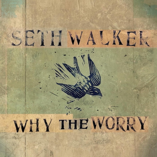 Why The Worry (Vinyle) - SETH WALKER