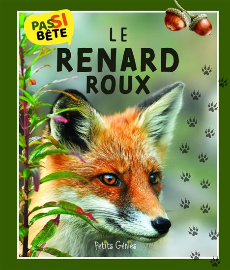 Le Renard roux - PIERRE-ALEXANDRE BONIN