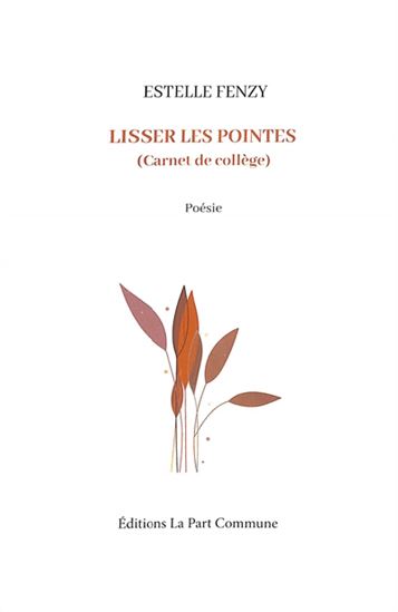 Lisser les pointes (carnet de collège) - ESTELLE FENZY