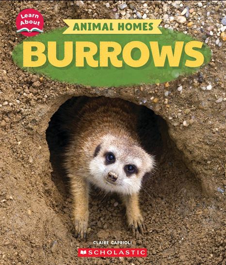 Burrows (Learn About: Animal Homes) - CLAIRE CAPRIOLI