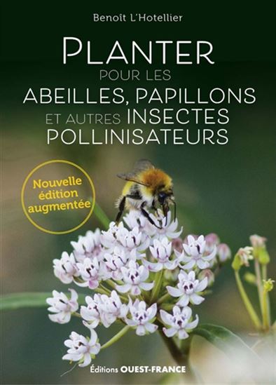 Planter pour les abeilles, papillons et autres insectes pollinisateurs N. éd. - BENOIT L'HOTELLIER