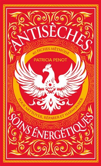 Les Antisèches des soins énergétiques : 40 fiches méthode pour tout comprendre - PATRICIA PENOT