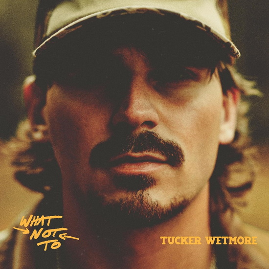What Not To (Vinyle) - TUCKER WETMORE