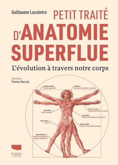 Petit traité d'anatomie superflue : l'évolution à travers notre corps - GUILLAUME LECOINTRE - THOMAS HAESSIG