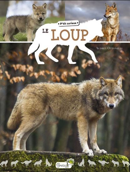 Le Loup N. éd. - AUDREY OTTONELLI