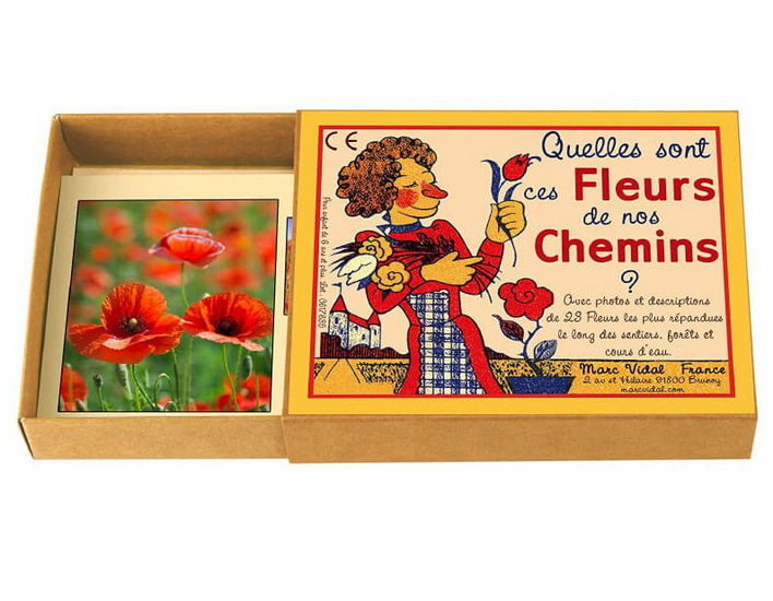 Quelles sont ces fleurs de nos chemins