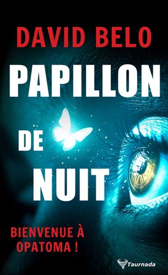 Papillon de nuit - DAVID BELO