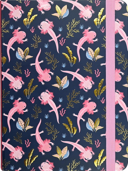 Journal moyen Axolotls