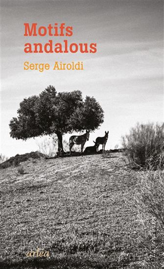 Motifs andalous - SERGE AIROLDI