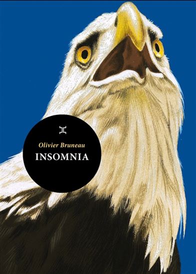 Insomnia - OLIVIER BRUNEAU