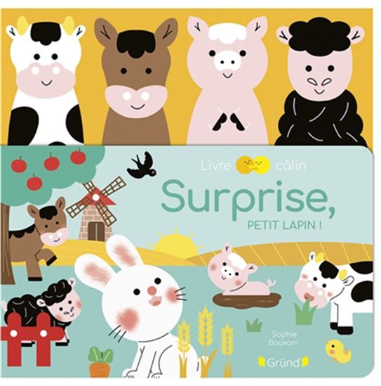 Surprise, petit lapin ! - SOPHIE BOUXOM