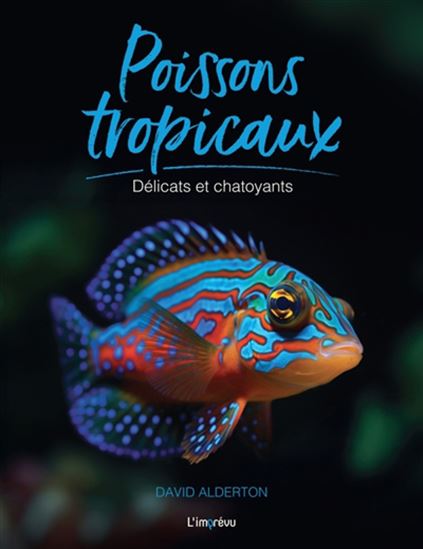 Poissons tropicaux : délicats et chatoyants - DAVID ALDERTON