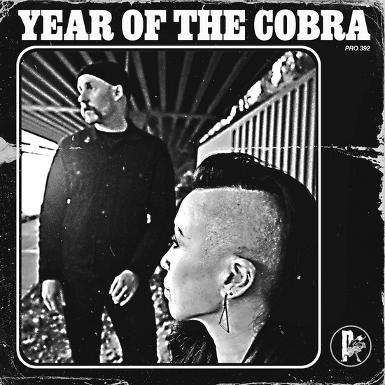 Year Of The Cobra - YEAR OF THE COBRA