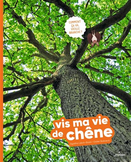 Vis ma vie de chêne - AGATHA LIÉVIN-BAZIN - DIDIER BALICEVIC
