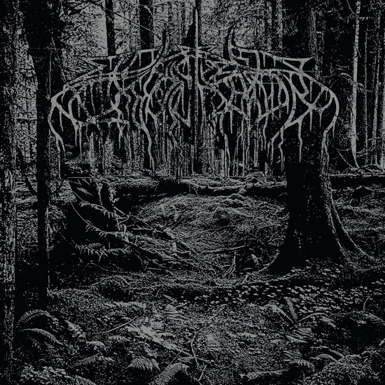 2005 Demo (Vinyle) - WOLVES IN THE THRONE ROOM