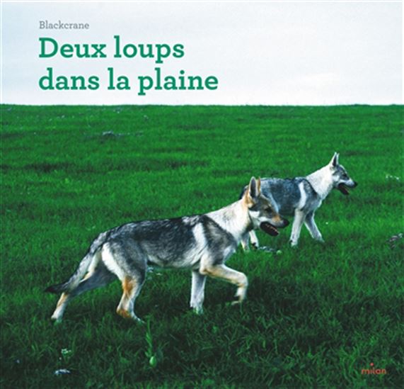 Deux loups dans la plaine - BLACKCRANE