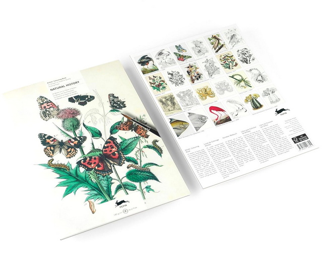 Natural History - COLLECTIF