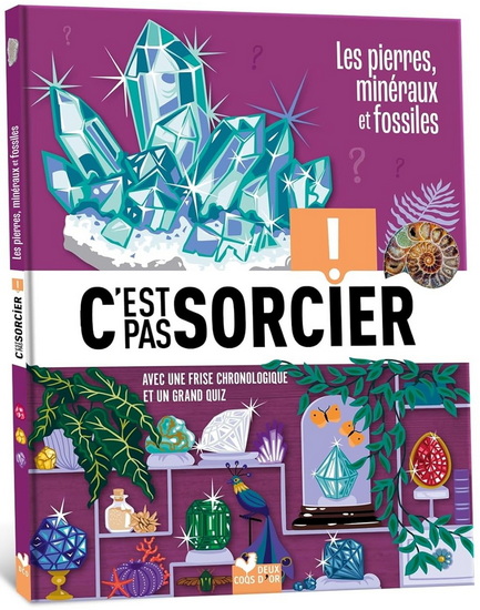 Les Pierres, minéraux et fossiles - ERIC MATHIVET