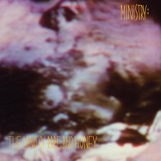 The Land Of Rape And Honey (Édition Deluxe)(2 Vinyles) - MINISTRY