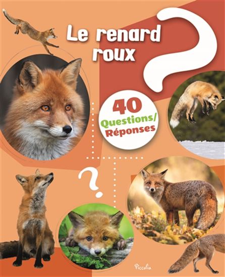 Le Renard roux - COLLECTIF