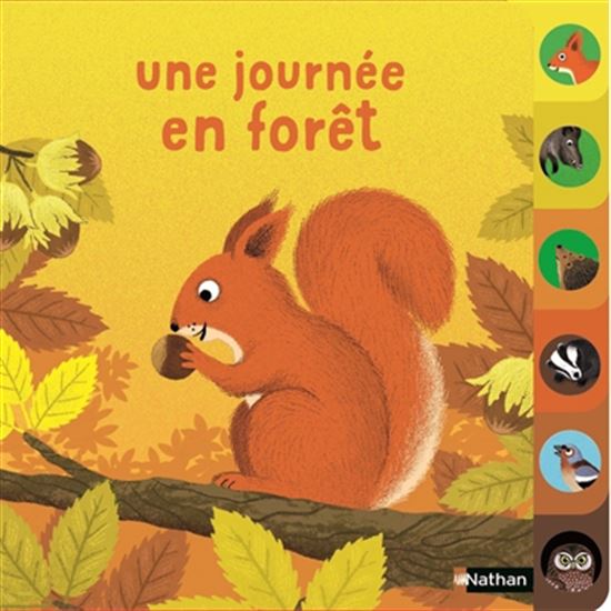 Une journée en forêt - KIKO