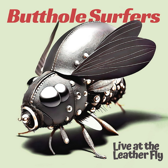 Live at the Leather Fly (Vinyle Rose) - BUTTHOLE SURFERS