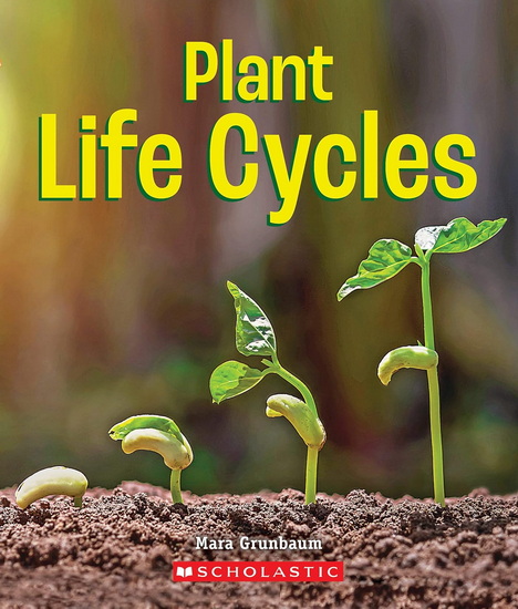 Plant Life Cycles - MARA GRUNBAUM