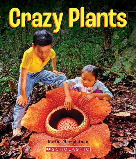 Crazy Plants - KARINA HAMALAINEN