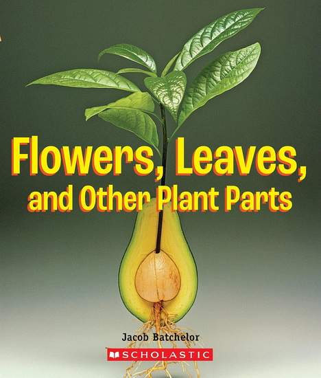 Flowers, Leaves and Other Plant Parts - JACOB BATCHELOR