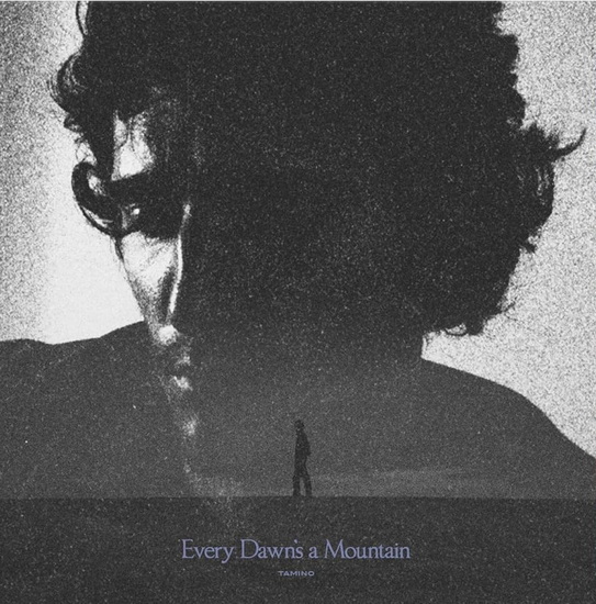 Every Dawn's A Mountain - TAMINO