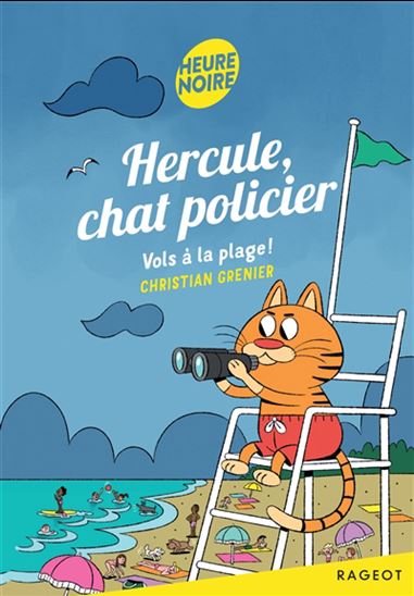 Vols à la plage ! - CHRISTIAN GRENIER