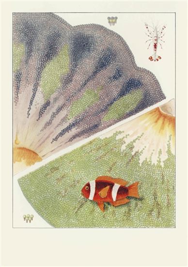 La Grande barrière de corail : carnet - WILLIAM SAVILLE-KENT