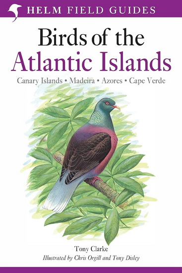 Field Guide to the Birds of the Atlantic Islands - TONY CLARKE & AL