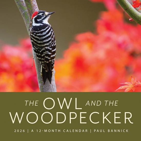 The Owl & the Woodpecker 2026 - PAUL BANNICK