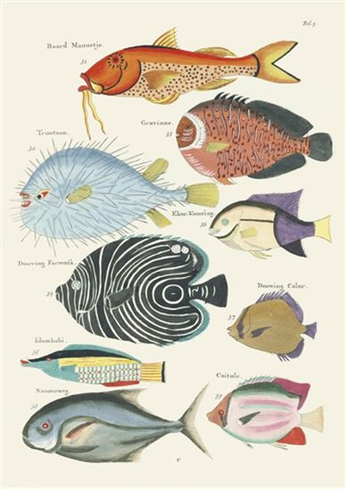 Poissons, écrevisses et crabes : carnet - LOUIS RENARD