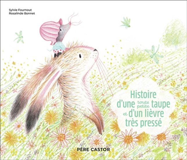 Histoire d&#39;une toute petite taupe et d&#39;un lièvre très pressé - SYLVIE FOURNOUT - ROSALINDE BONNET