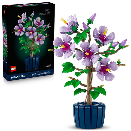L’hibiscus