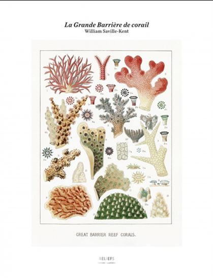 La Grande Barrière de corail : Tirage - WILLIAM SAVILLE-KENT