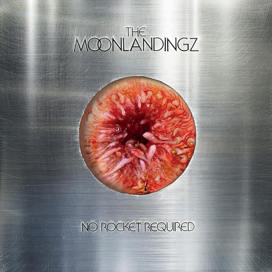 No Rocket Required - MOONLANDINGZ