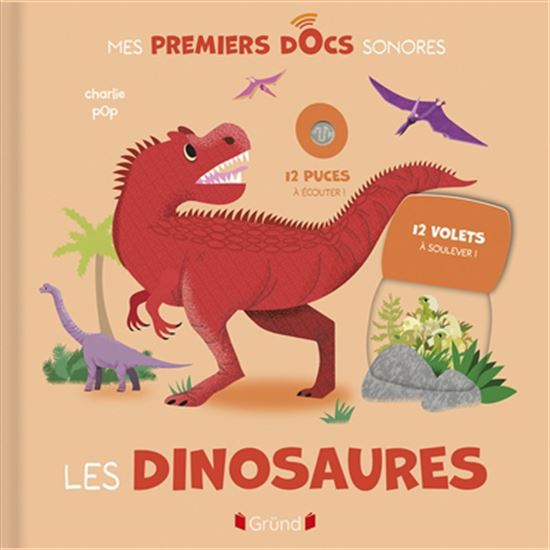 Les Dinosaures : 12 sons à écouter, des volets à soulever N. éd. - ROMAIN AMIOT - CHARLIE POP
