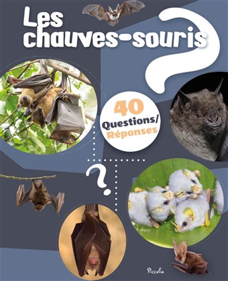Les Chauves-souris - CHRISTINE BAILLET