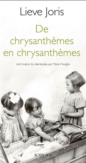 De chrysanthèmes en chrysanthèmes - LIEVE JORIS