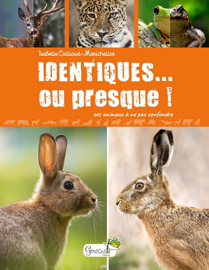 Identiques... ou presque ! : ces animaux à ne pas confondre - ISABELLE COLLIOUD-MARICHALLOT
