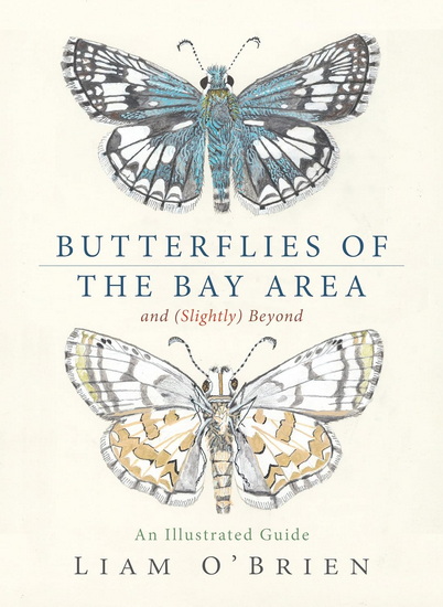 Butterflies of the Bay Area and (Slightly) Beyond: An Illustrated Guide - LIAM O'BRIEN