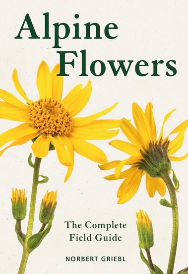 Alpine Flowers - NORBERT GRIEBL