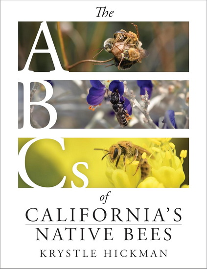 The ABCs of California&#39;s Native Bees - KRYSTLE HICKMAN
