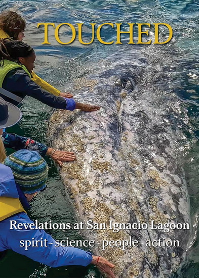 Touched / Tocado: Revelations at San Ignacio Lagoon: Spirit, Science, People, Politics - NEVLE RICHARD J - NIGHTINGALE STEVEN