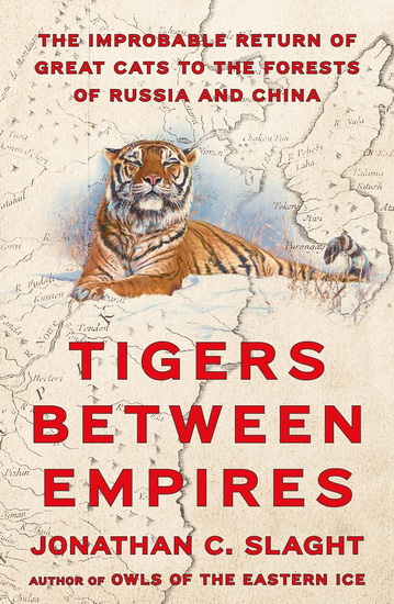 Tigers Between Empires : The Improbable Return of Great Cats to the Forests of Russia and China - JONATHAN C SLAGHT
