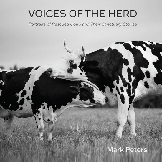 Voices of the Herd: Portraits of Rescued Cows and Their Sanctuary Stories - MARK PETERS